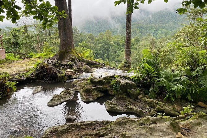 Half Day Chiang Mai Sticky Waterfall and Hotel Transfer - The Experience in Detail