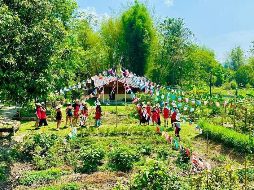 Half Day Cooking Class at Organic Farm & City Garden&Market - Who Will Love This Tour?