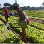 Half Day Cooking Class At Tra Que Vegetable Village Hoi An - Who Will Most Appreciate This Experience?