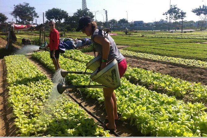 Half Day Cooking Class At Tra Que Vegetable Village Hoi An - Who Will Most Appreciate This Experience?