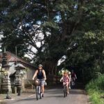 Half Day Cycling Tour ( Manual Bike ) - A Closer Look at the Cycling Experience