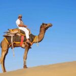 Half Day Desert Safari Jaisalmer - Why This Tour Works
