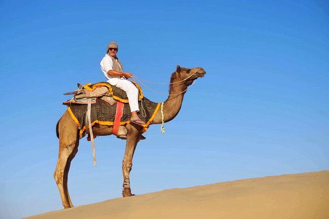 Half Day Desert Safari Jaisalmer - Why This Tour Works