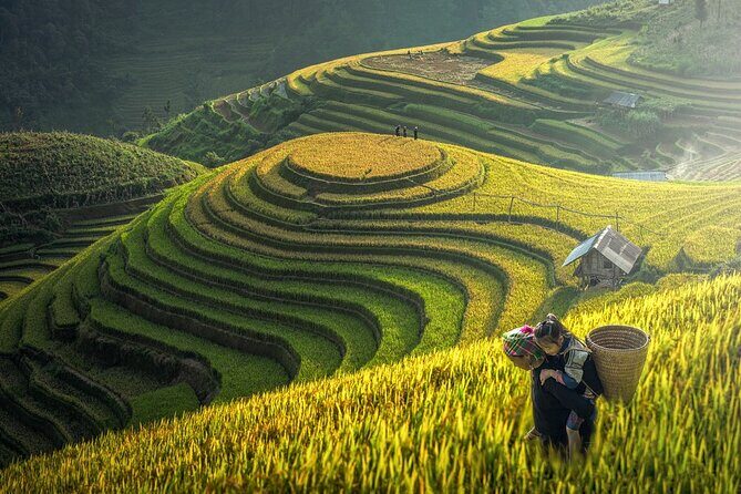 Half Day Doi Suthep & Hmong Hill Tribe - Possible Drawbacks