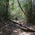 Half Day Doi Suthep Temple and short trekking on monk trail (Private Tour) - Why Choose This Tour?