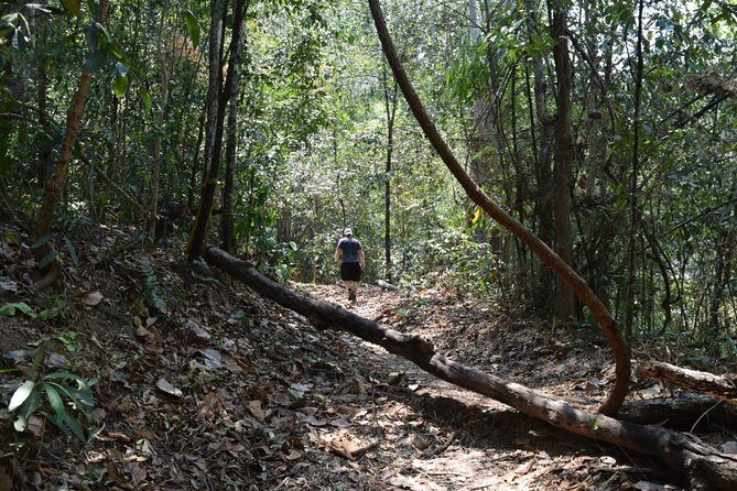 Half Day Doi Suthep Temple and short trekking on monk trail (Private Tour) - Why Choose This Tour?