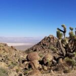 Half-Day Electric Bike Tour of Red Rock Canyon - The Downsides to Consider