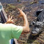 Half-day Everglades National Park Tour and 1-Hour Air Boat Ride - Detailed Breakdown of the Itinerary