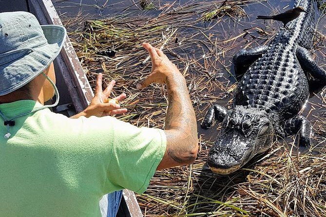 Half-day Everglades National Park Tour and 1-Hour Air Boat Ride - Detailed Breakdown of the Itinerary