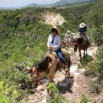 Half Day Excursion - Horseback Riding Adventure in SMA - Final Thoughts on the Experience