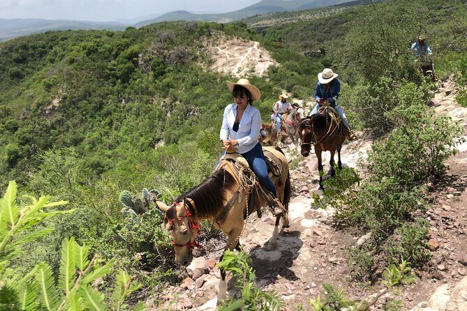 Half Day Excursion - Horseback Riding Adventure in SMA - Final Thoughts on the Experience