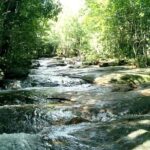 Half-day Exploring Phu Quoc Island by Bicycle - Authenticity and Local Flavor