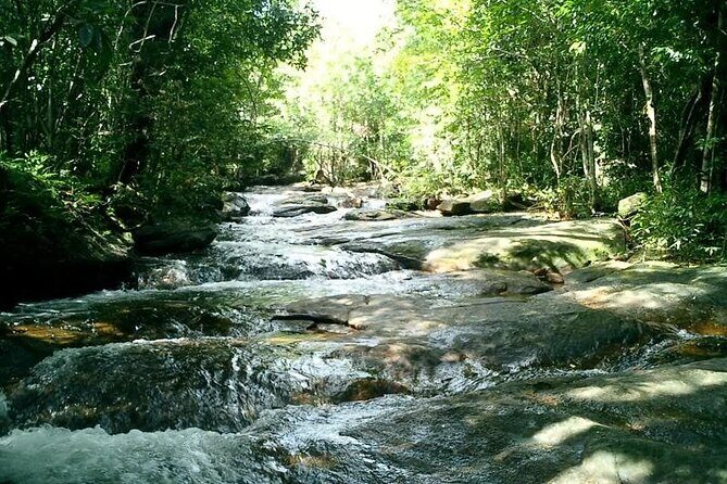 Half-day Exploring Phu Quoc Island by Bicycle - Authenticity and Local Flavor