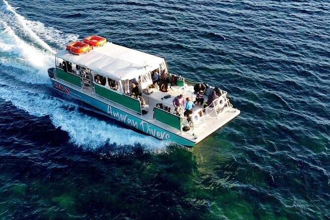 Half-Day Florida Keys Catamaran Snorkel Adventure - Who Should Consider This Tour?