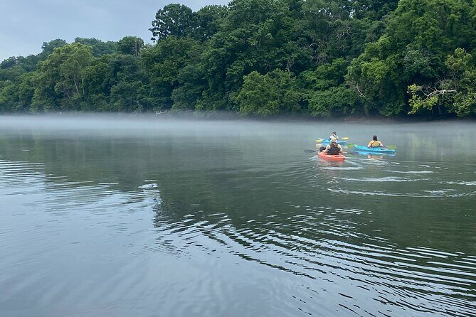 Half-Day Guided Kayaking in the Smoky Mountains of Tallassee - FAQ