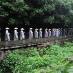 Half-Day Hangzhou Tianzhu Buddhist Mountain Hiking Tour with Green Tea Village - Who Will Love This Tour?