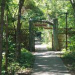 Half Day Hiking to Discover Cat Ba National Park with a Guide - A Closer Look at the Tour Experience