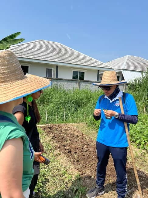 Half Day Historical & Cultural Experience Bicycle Tour - A Deep Dive into the Experience