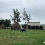 Half-Day Hoi An Countryside and Villages Tour by Bike - Who Is This Tour Best For?