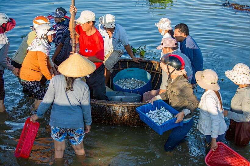Half-day Hoi An Scenic River Cruise And Village Exploration - What Makes This Tour Stand Out?