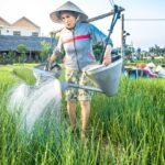 Half-day Hoi An Sunrise Or Sunset Photo Tour - Final Thoughts