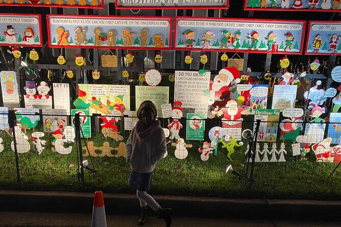 Half-Day Holiday and Tacky Lights Tour in Richmond - Who Should Book This Tour?