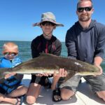 Half Day Inshore and Nearshore Fishing Charter in Sarasota - The Species and Techniques