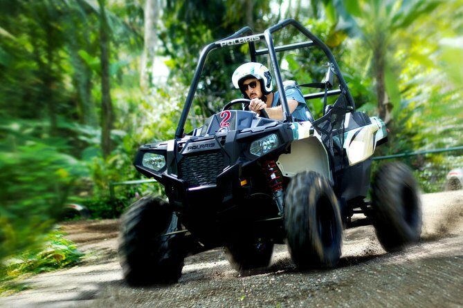 Half Day Jungle Buggies in Bali with Guide - Why This Tour Works