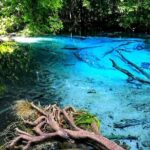 Half Day Jungle Tour to Emerald pool and Krabi Hot Spring - Transportation and Group Size