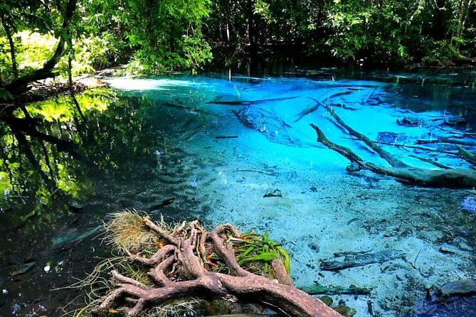 Half Day Jungle Tour to Emerald pool and Krabi Hot Spring - Transportation and Group Size