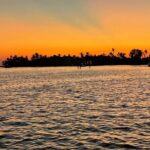 Half Day Keewaydin Shelling and Beach Adventure (Private) - Who Will Love This Tour?