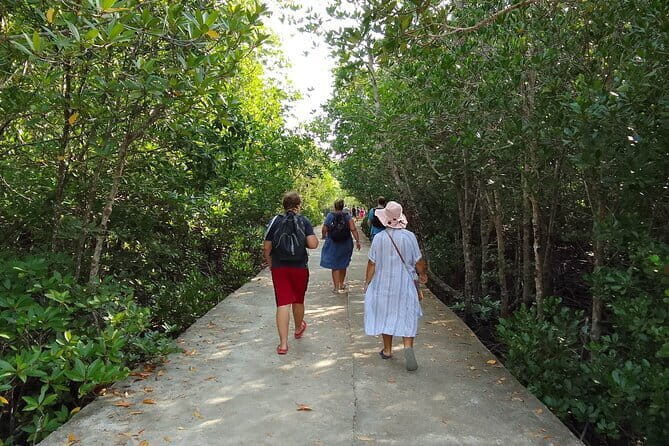 Half Day Mangrove and Lanta Old Town Tour - Practical Tips for the Trip
