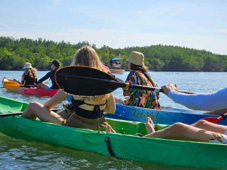 Half Day Mangrove Forest (Morning or Afternoon) - The Value of This Experience