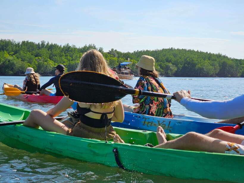 Half Day Mangrove Forest (Morning or Afternoon) - The Value of This Experience
