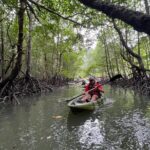 Half-Day Mangrove Kayaking in Langkawi - The Kayaking Experience: Into the Heart of the Mangroves