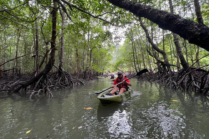 Half-Day Mangrove Kayaking in Langkawi - The Kayaking Experience: Into the Heart of the Mangroves