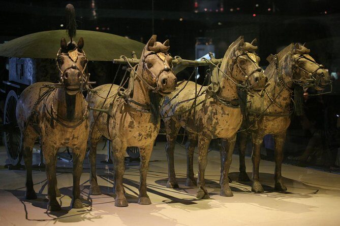 Half-Day Mini Group Xian Tour to Terracotta Warriors Museum - Final Thoughts