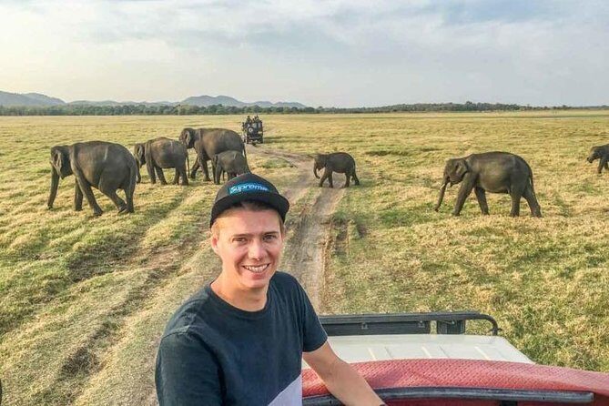 Half Day Minneriya National Park Safari from Sigiriya - The Experience in Detail: What You Can Expect