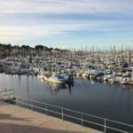 Half Day Monterey Peninsula Sightseeing Tour - What the Reviews Say