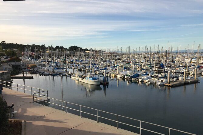 Half Day Monterey Peninsula Sightseeing Tour - What the Reviews Say