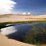 Half-Day Mui Ne Sand Dunes Jeep Tour with Hotel Pickup - Final Thoughts