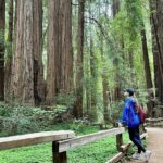 Half-Day Muir Woods & Sausalito Tour with Entry Ticket Included - A Deep Dive into the Experience