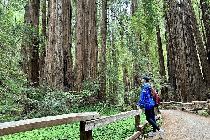 Half-Day Muir Woods & Sausalito Tour with Entry Ticket Included - A Deep Dive into the Experience