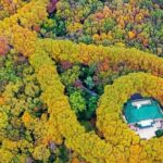 Half-Day Nanjing Purple Mountain Private Tour in Your Way - FAQ