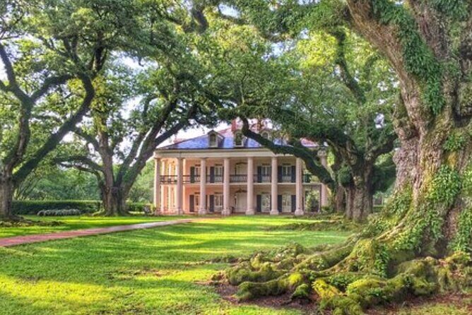 Half-Day Oak Alley Plantation Tour in Vacherie - Who Might Not Love It?