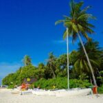 Half-Day Original Eco Tour to Villimale From Malé - Frequently Asked Questions