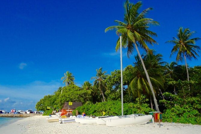 Half-Day Original Eco Tour to Villimale From Malé - Frequently Asked Questions