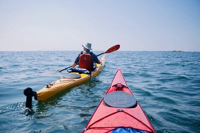 Half-Day Orleans Island Small-Group Sea Kayaking Tour - Who Should Consider This Tour?