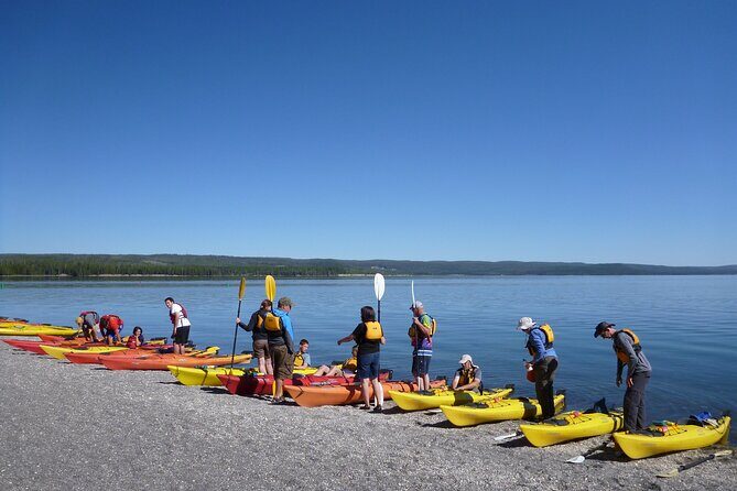 Half Day Paddle on Yellowstone Lake - Itinerary Breakdown: What to Expect