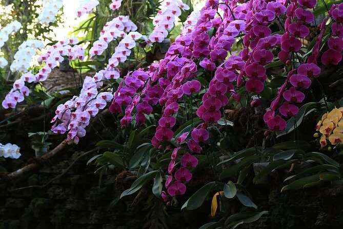 Half Day Phra That Doi Kham Temple and Royal Park Rajapruek (Private Tour) - Final Thoughts